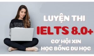 IELTS 8.0 được học bổng gì?